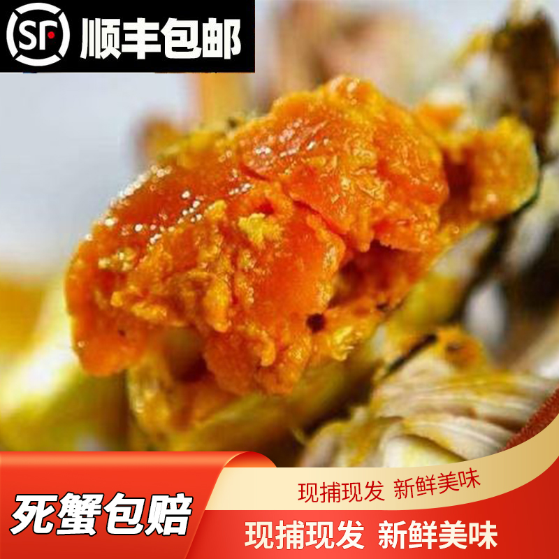 【礼盒装】洪泽湖全公大闸蟹(4两-3.8两)十只装顺丰发货