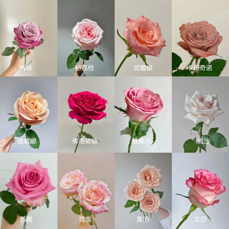 高端鲜花【1单顺丰包邮】【胖子优选】不卖歪货--玫瑰-草花所见即所得