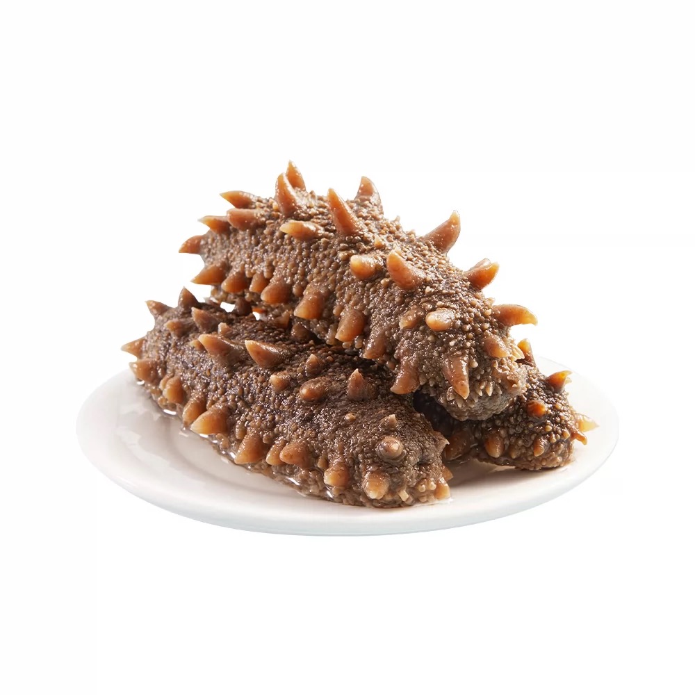  特大号刺参 海参6-8头斤 1斤 好吃营养 送人必备佳品 