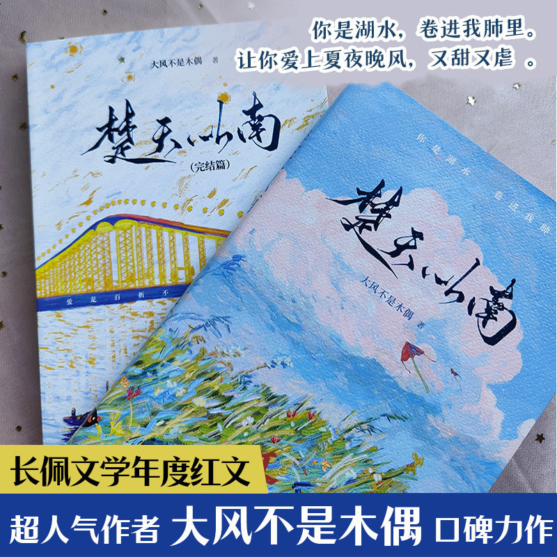 楚天以南双册完结 大风不是木偶著 青春校园双男主救赎小说实体书