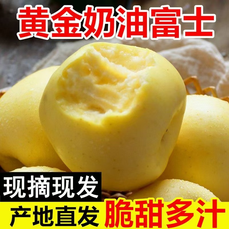 烟台栖霞正宗奶油富士苹果4.5斤脆甜多汁新鲜采摘精品果山东