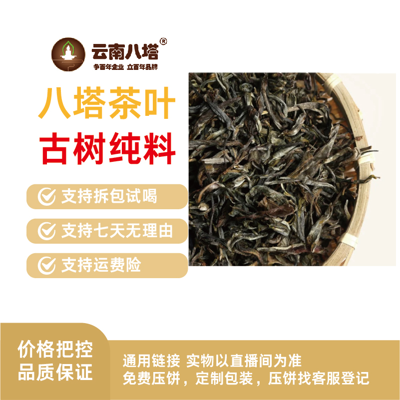 云南八塔  散茶 24年曼德勒古树 452SG1A8526GJG