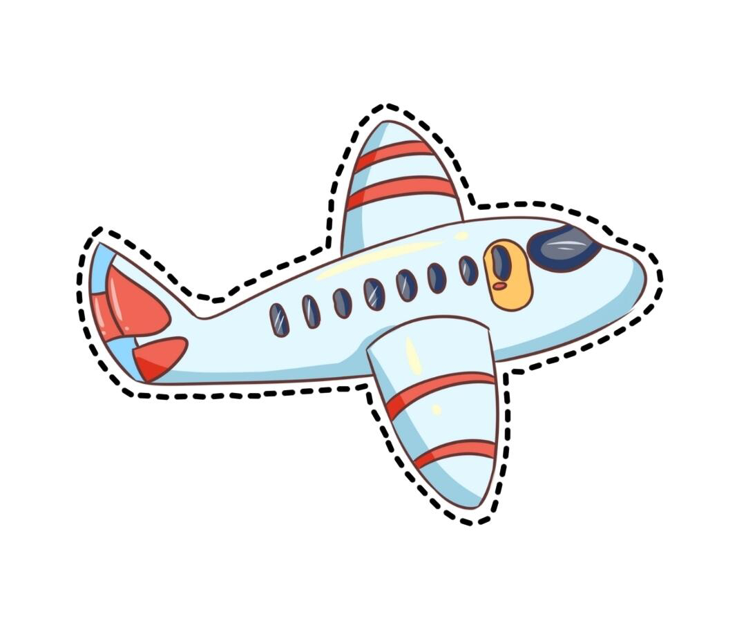 鲜花玫瑰升级空运！