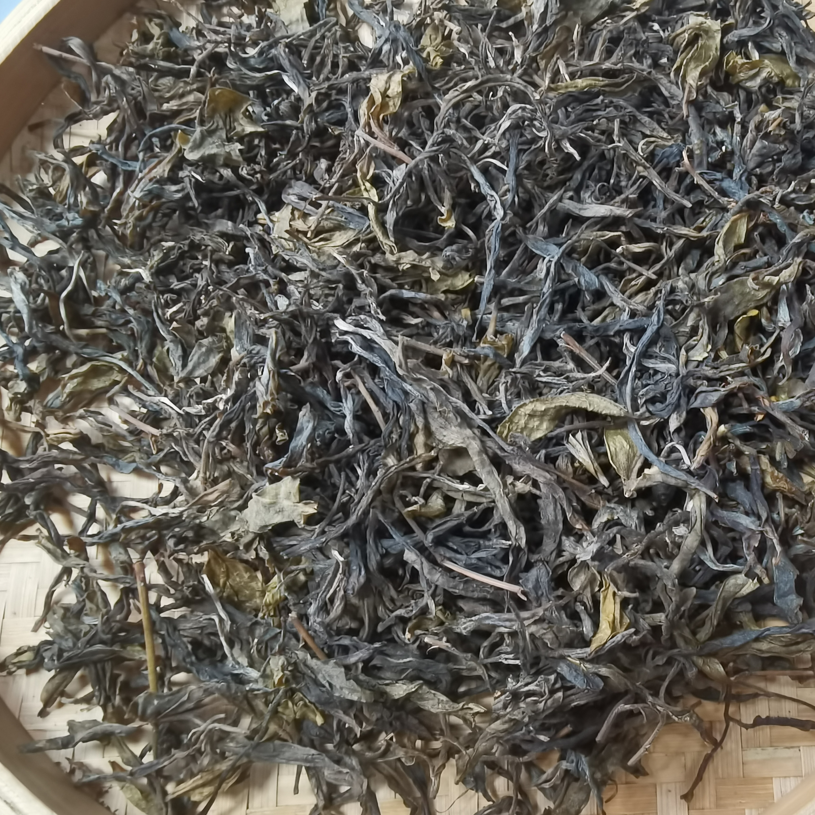 2023年坡脚大古树单株春茶100克散茶普洱茶生茶