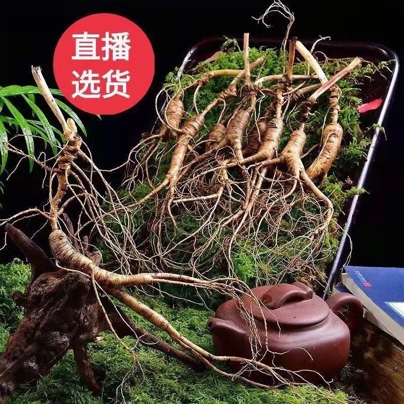 1-长白山林下参改价人参链接