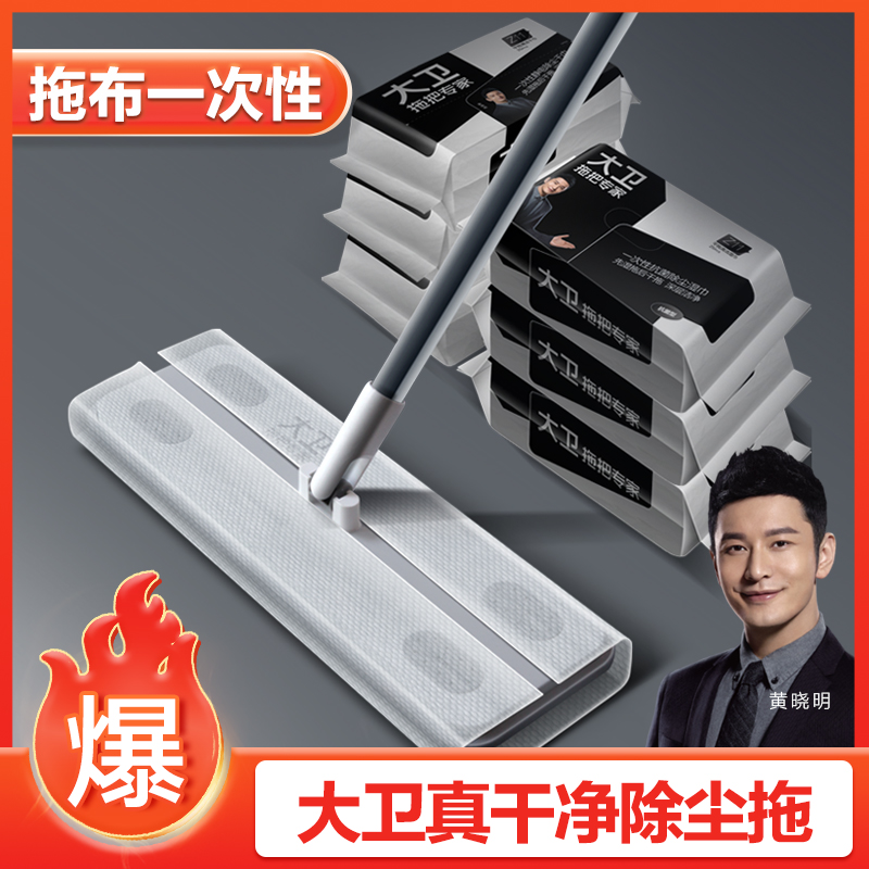 大卫拖把一次性静电除尘拖把除尘抑菌吸附毛发家用一拖净懒人拖把