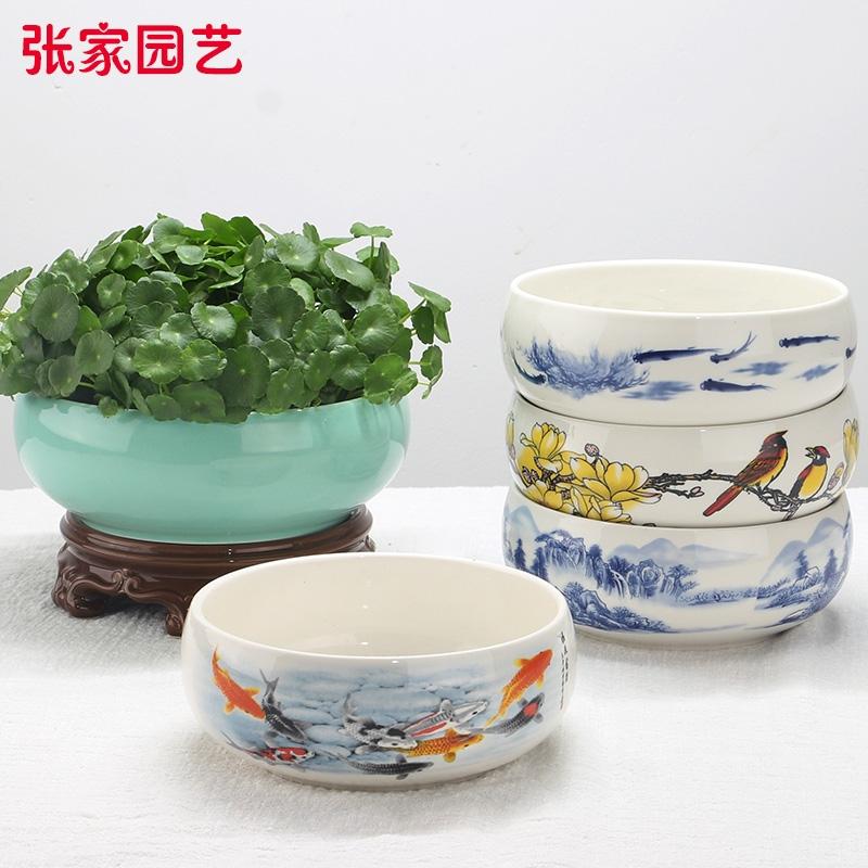 陶瓷盆水仙花水培盆铜钱草一叶莲无孔水培用家用植物栽培种球鲜艳