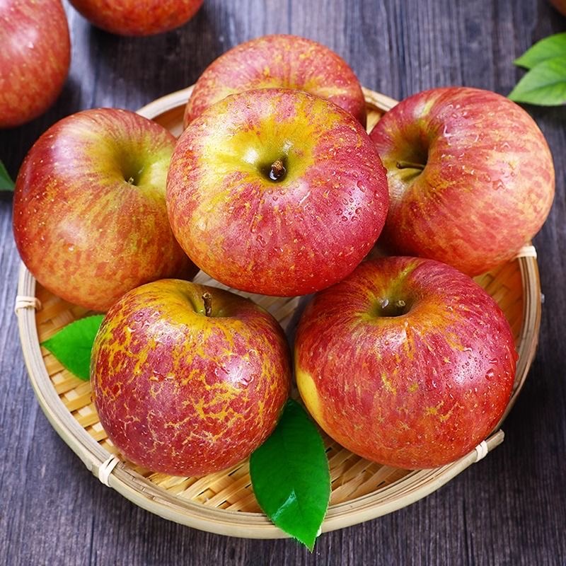 四川大凉山 盐源苹果 脆甜多汁 核小肉脆/4.5-5斤 