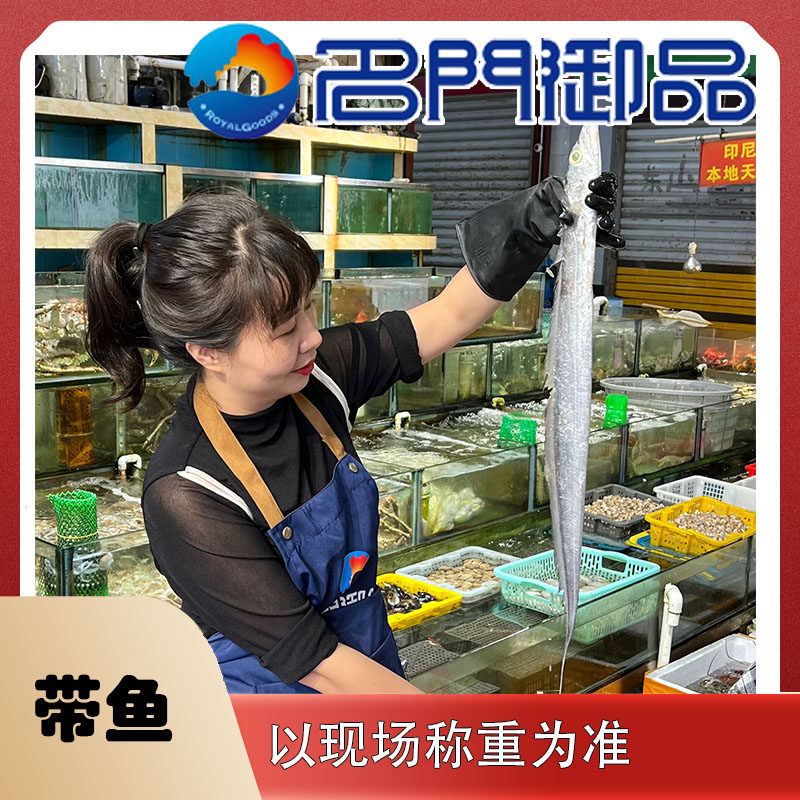 【本港带鱼1号】海产品本港平潭冰鲜带鱼天然营养美味直播称重