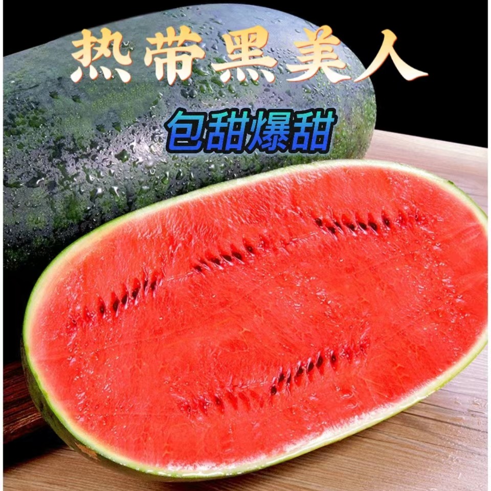 【松哥专属一级瓜】热带黑美人新鲜脆甜多汁农家头茬瓜4-9斤香甜
