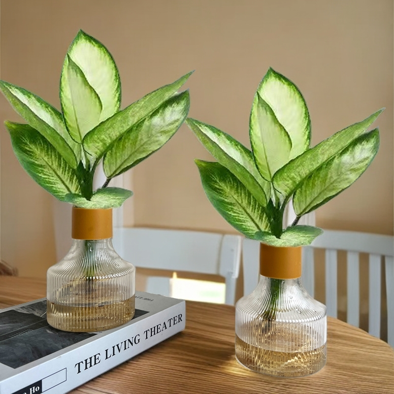 【买一送一】玛丽安客厅室内桌面房间四季常青水培植物绿植