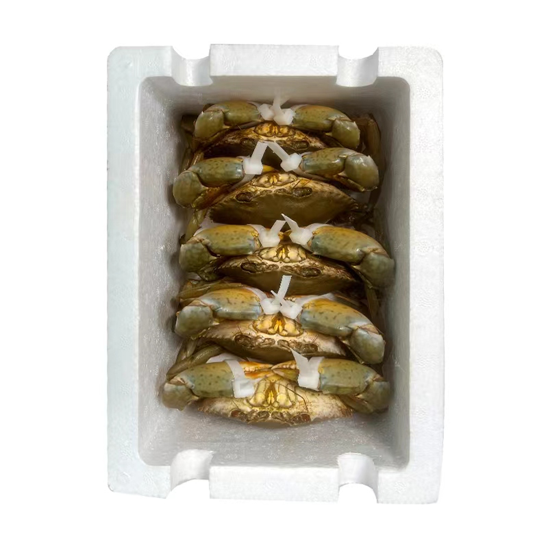 （改价现称）2号三门青蟹野生青蟹不能放冰箱 膏蟹青蟹黄油蟹