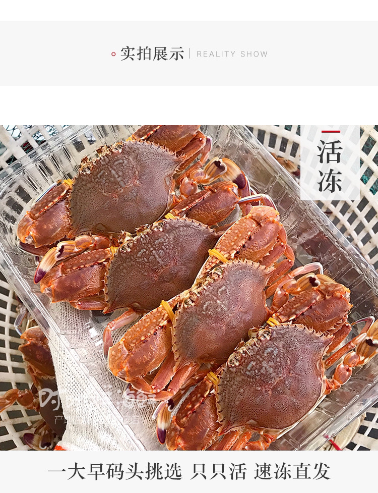 神泉本港订排蟹4只装5盒