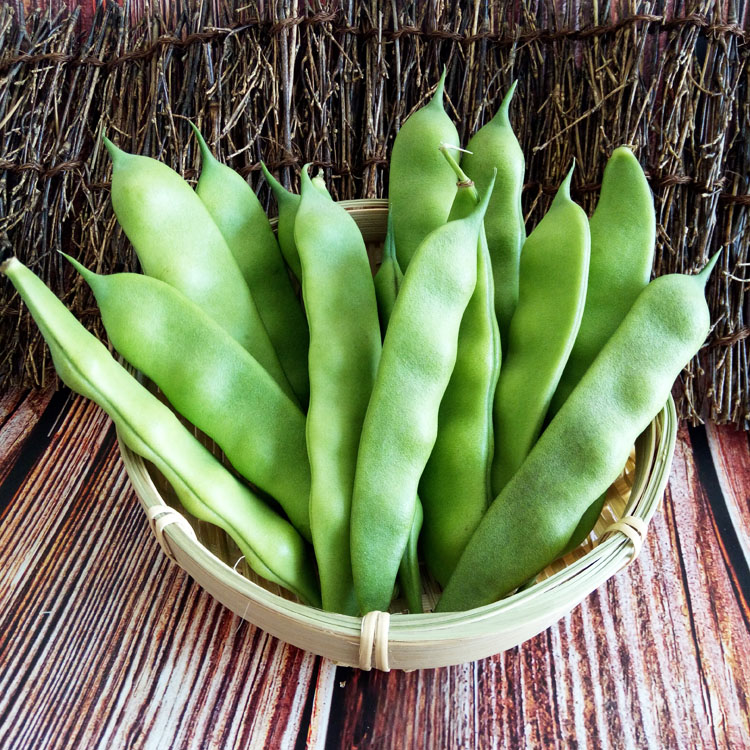 东北油豆角新鲜九月青豆角现摘现发正宗农家蔬菜整箱3/5斤包邮