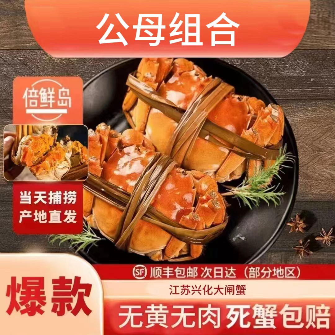 【活蟹现发】公蟹4两4只/母蟹3两4只江苏兴化大闸蟹顺丰京东