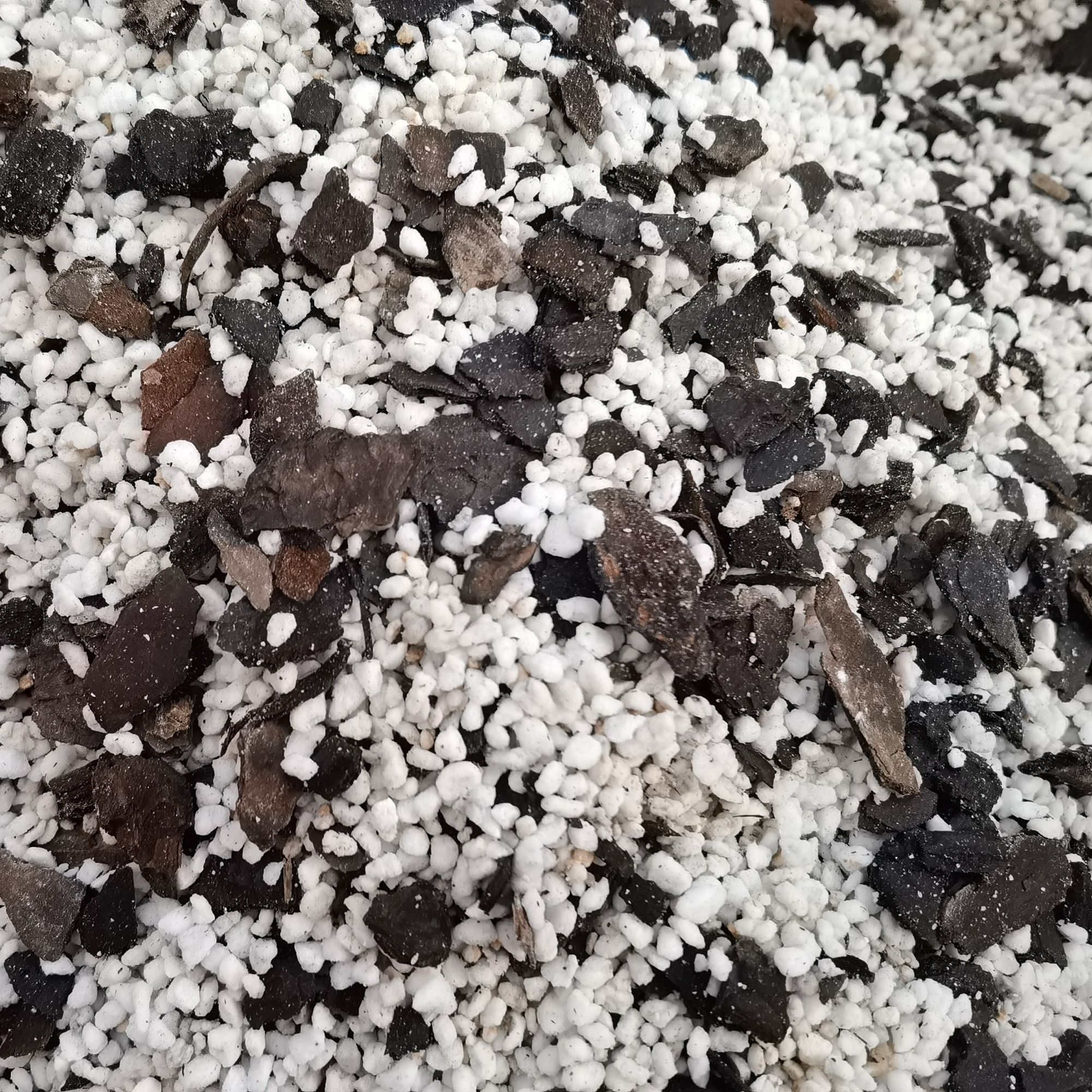 松树皮珍珠岩二合一兰花植料（1.5升）