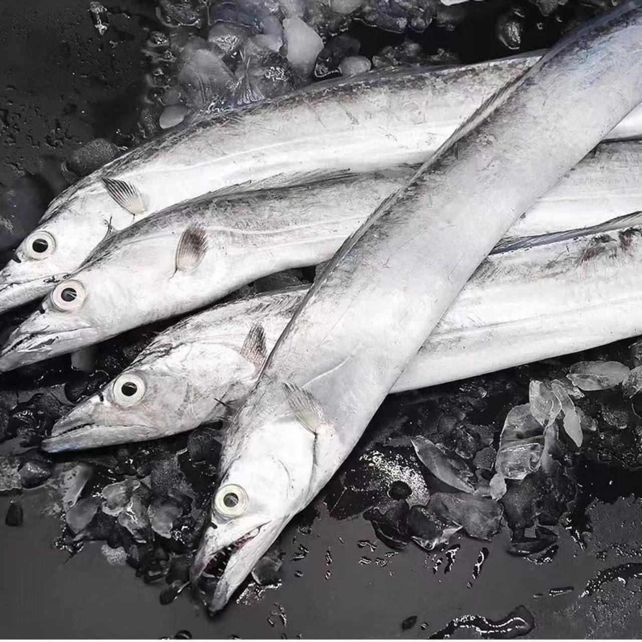 【胖姐海鲜】精选本地小眼带鱼新鲜