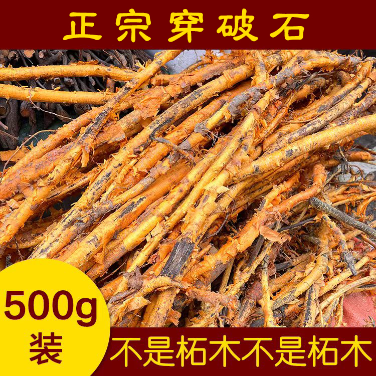 福建闽清雨晴农产品正宗新鲜穿破石 九层皮 金鸡脱壳 鲜货500g