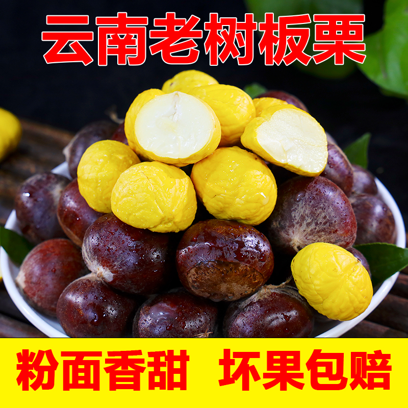 小苗家云南老品种毛栗子现摘现发头茬栗子新鲜板栗好剥皮很粉面糯