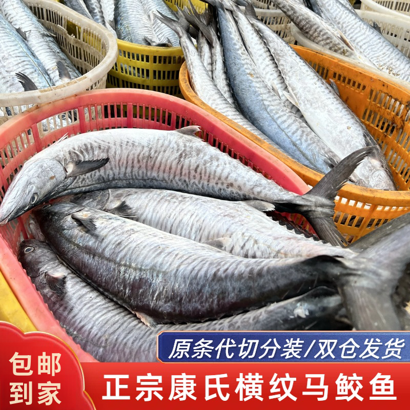 正宗大马鲛鱼 3-9斤 横纹马鲛 原条速冻代切真空分装 送1包豆豉