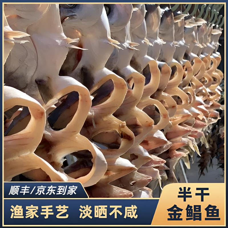 半干金鲳鱼6条到手3斤 广东特产半干鲜鱼 包邮（需冷冻保存）