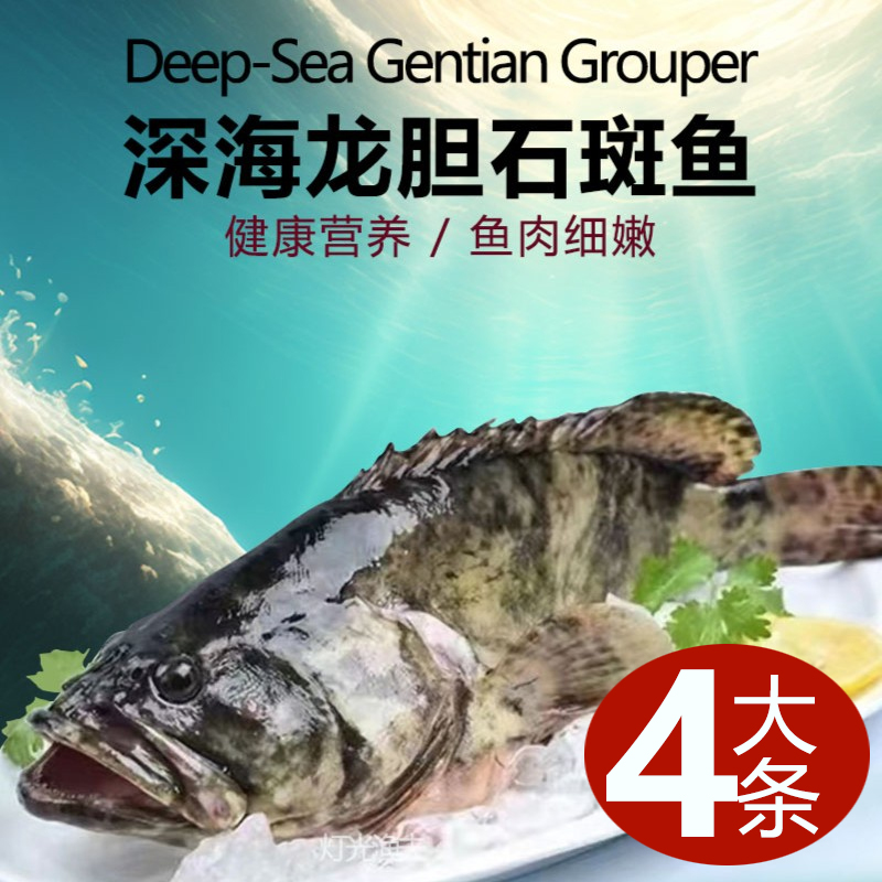 5.2斤共4大条J龙胆珍珠斑  深海龙胆石斑鱼 速冻平均1.3斤左右/条