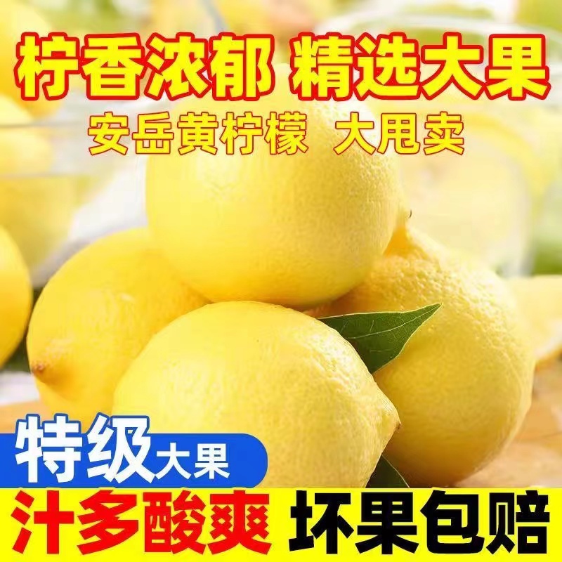 大个黄色香水柠檬