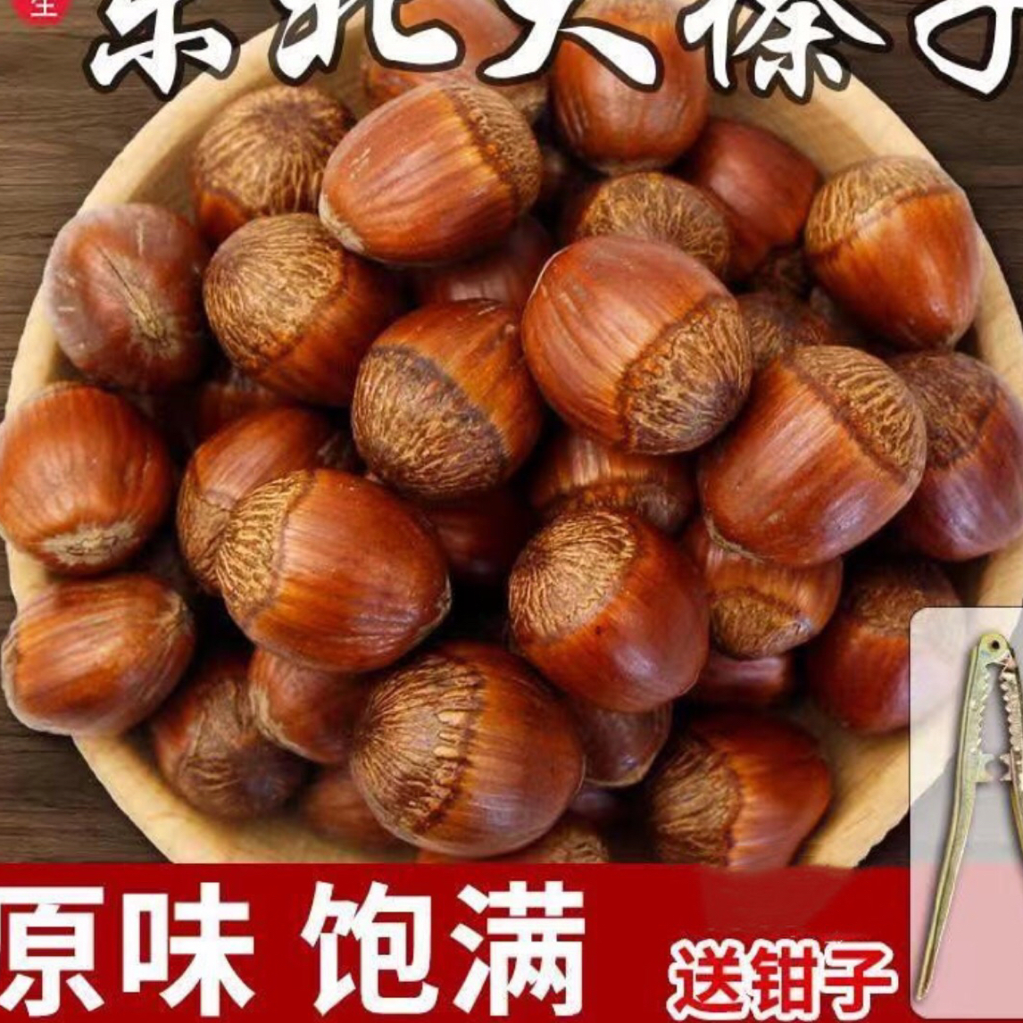 【二狗专属】东北大榛子熟(送夹子)