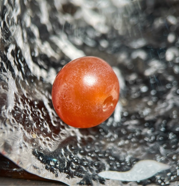 Pyu红玉髓唐球珠