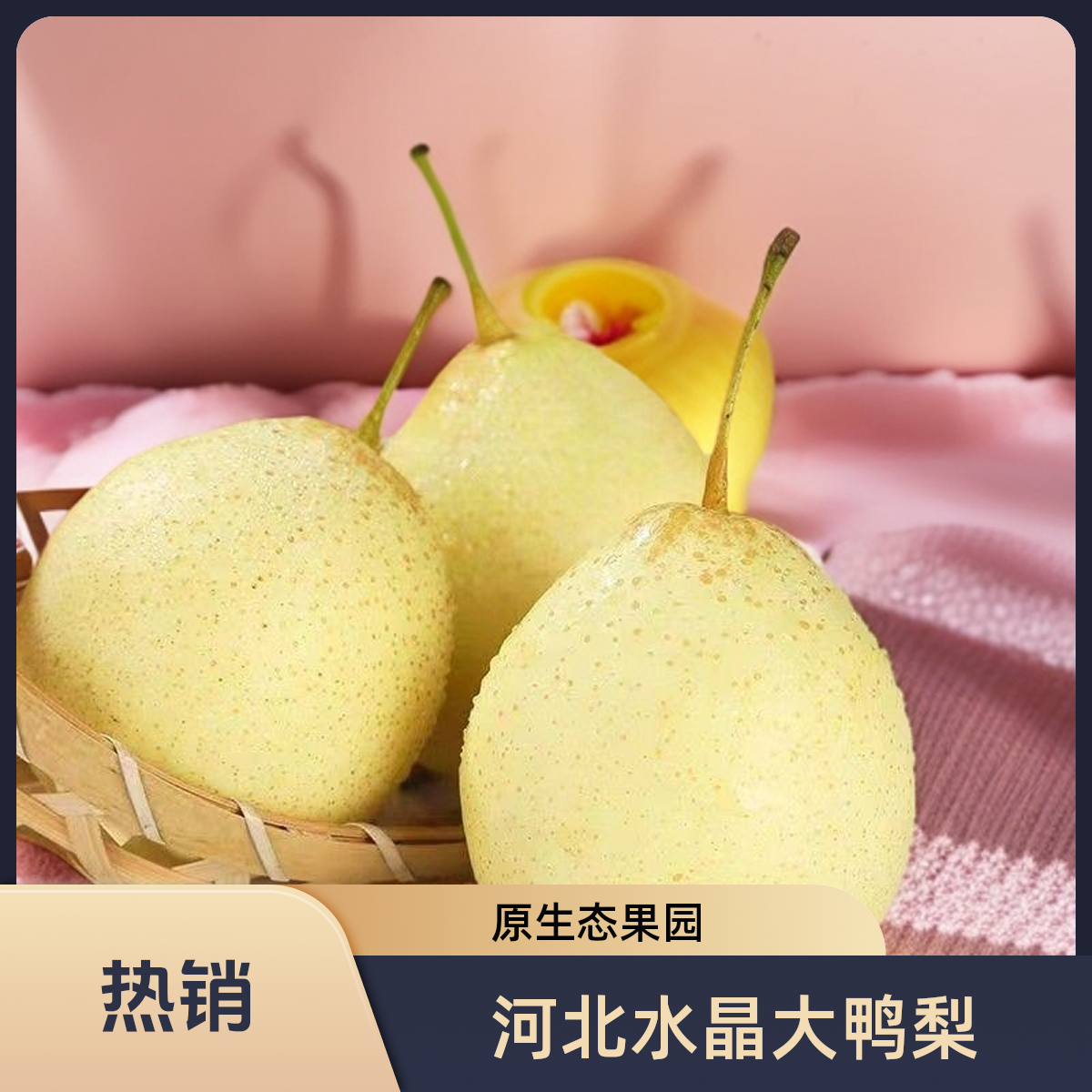 驸鲜翁河北水晶大鸭梨水晶梨生态果园酸甜口感现摘现发包邮到家