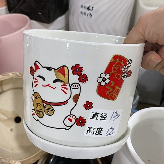 红陶20CM（含）-50CM（不含）