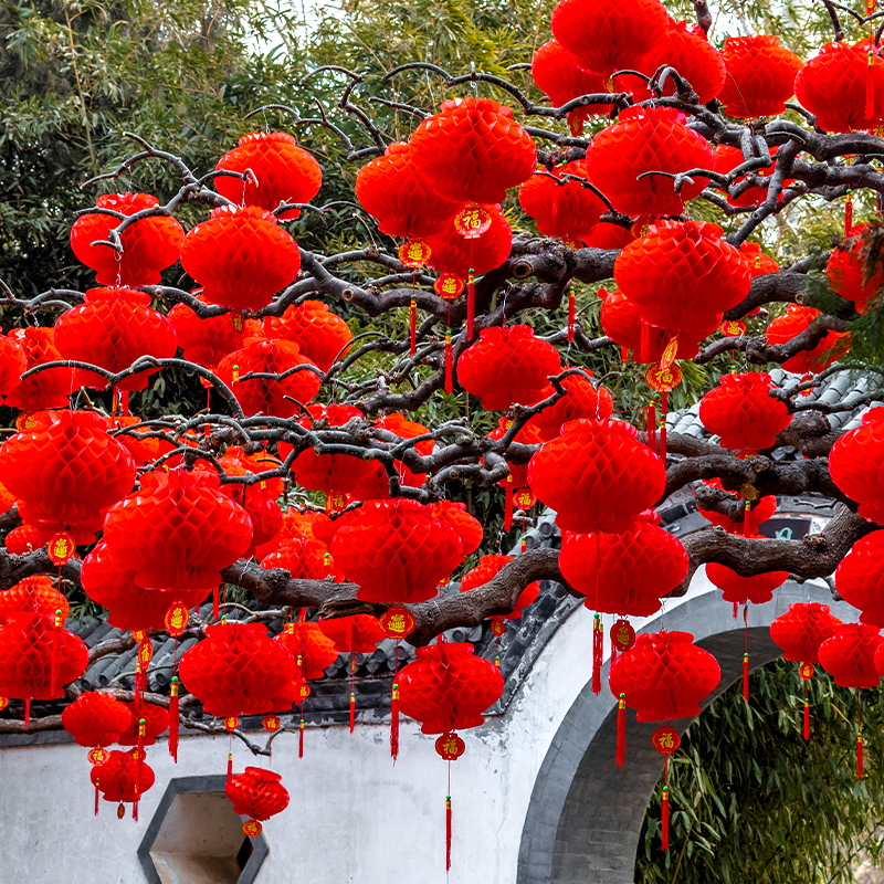 【过新年】2025新款小灯笼挂饰户外蜂窝大院子树上喜庆布置节日装饰