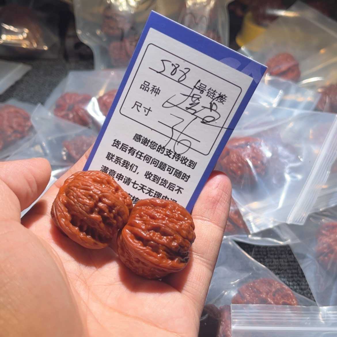 【闪购商品】柏香籽/百香籽吊坠588