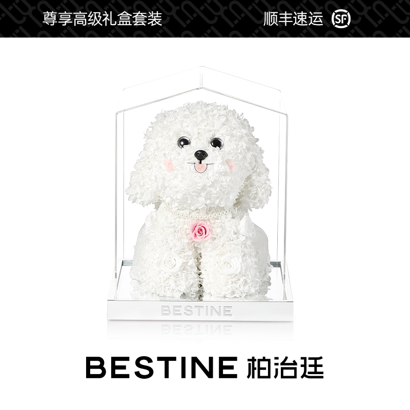 柏治廷永生花玫瑰泰迪马尔济斯狗狗礼盒送女生老婆生日礼物