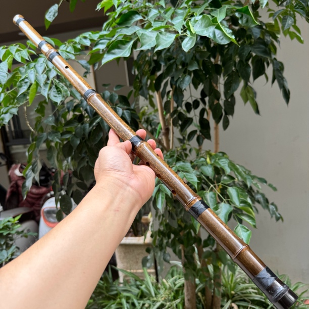 洞箫紫竹箫，闭口箫