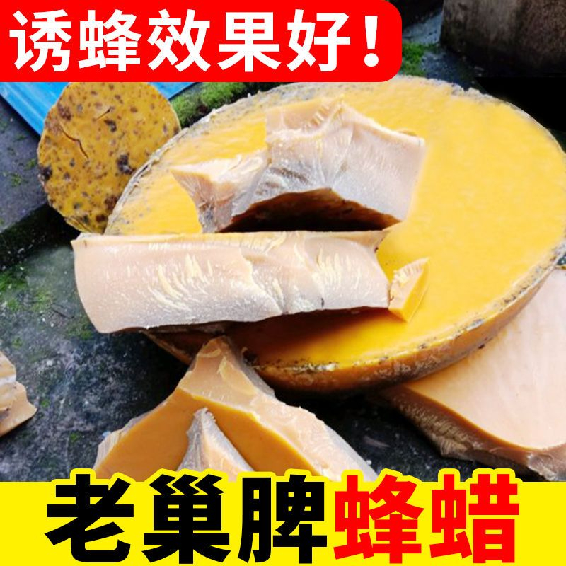 中友信蜂蜡养蜂诱蜂蜡口红制作材料唇膏天然专用食用诱蜂神器封酒