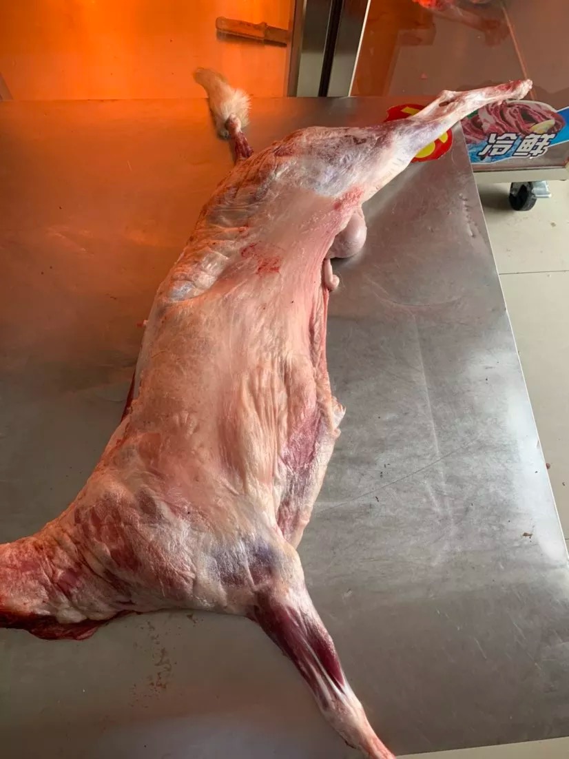 山东菏泽鲁西南地区散养白山羊半只现宰带骨6—20斤包邮