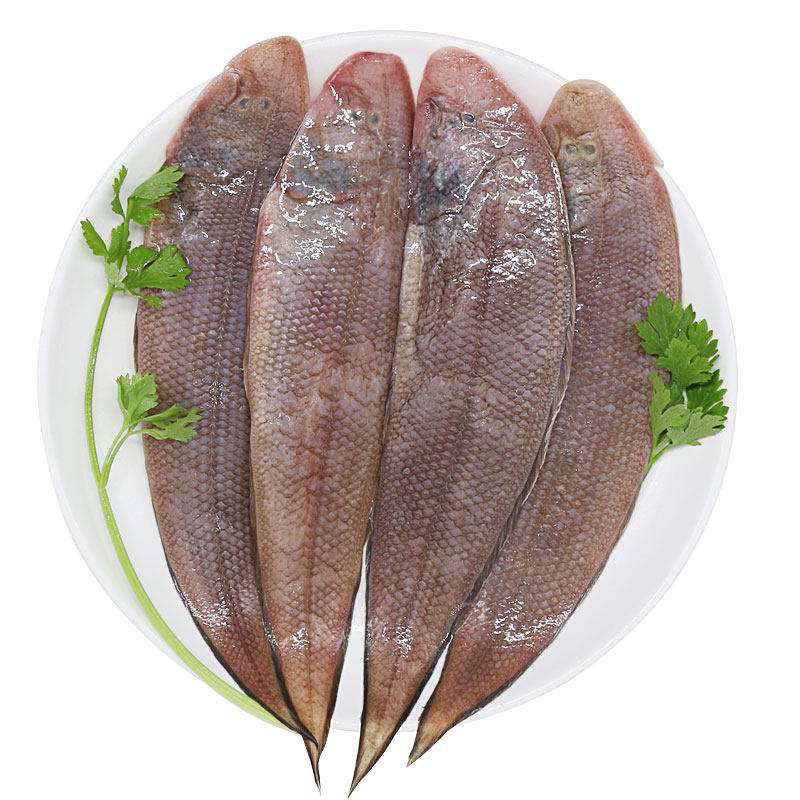 【小龙利】东海海捕海鲜野生龙利鱼肉鳎冷链发货5天内发货