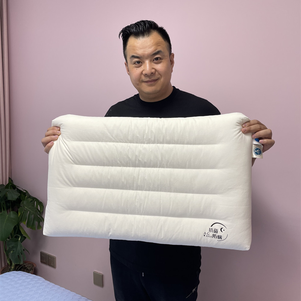 丽家平 特!枕芯 棉枕芯 学生枕 定型枕