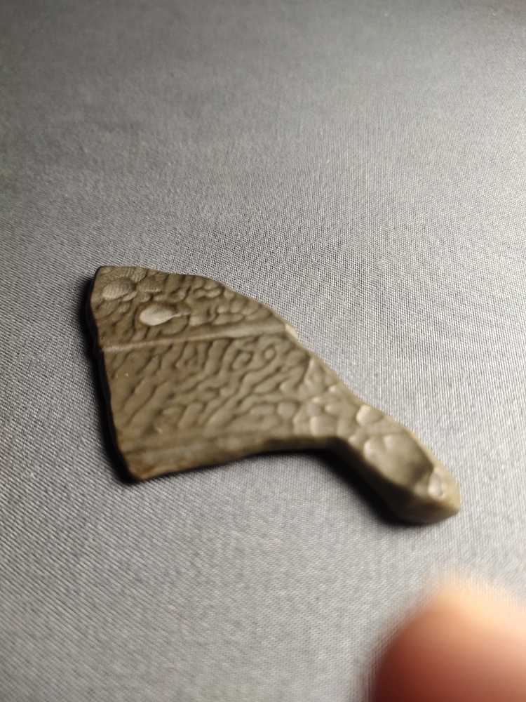 泥石旗子，满纹地表泥石产地哈密5/3厘米
