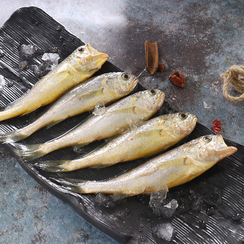 连云港 小黄鱼（黄花鱼） 4斤（1斤10左右条）