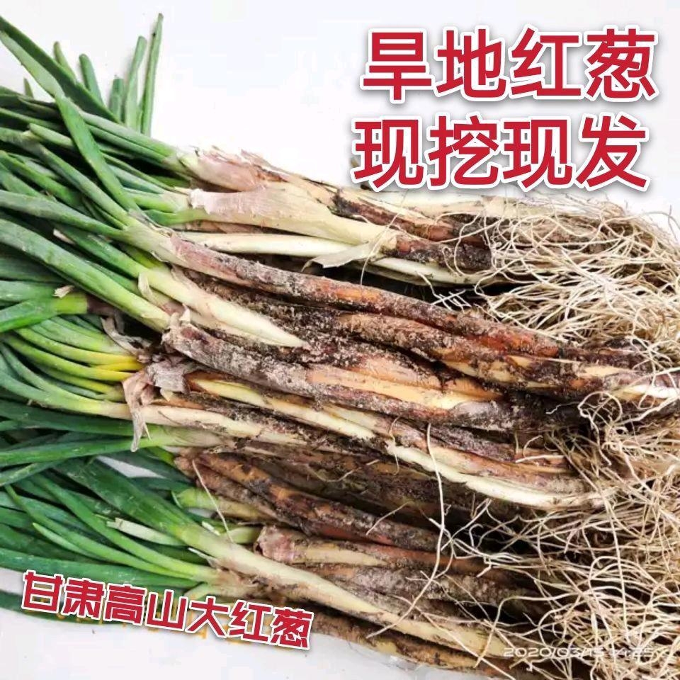 高山老葱根，炒菜配料，家庭使用