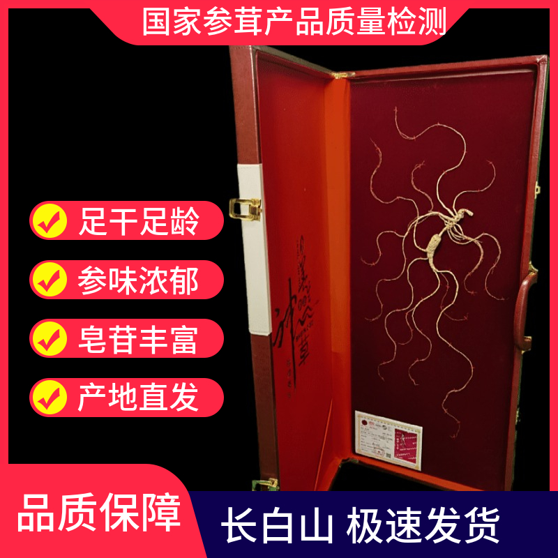 【滋补保养】60长度长白山林下参野山参国家检测一等品（礼盒版）