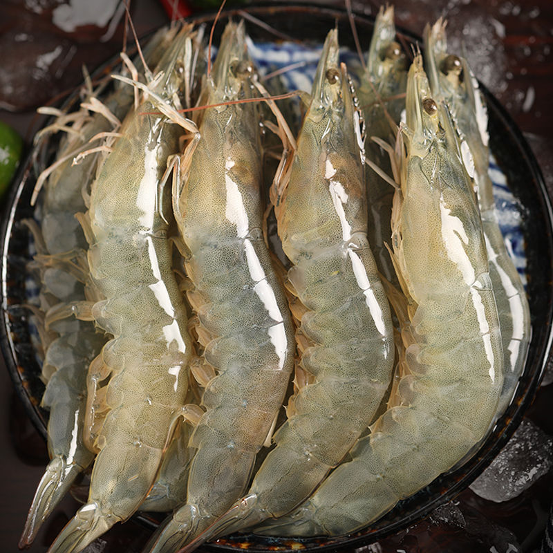 连云港发货 海洋大虾 30/40规格 3斤/盒 活虾速冻锁鲜 冷链配送