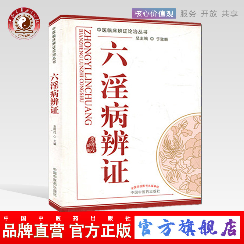 六淫病辨证 中医临床辨证论治丛书 于致顺 中国中医药出版社 书籍