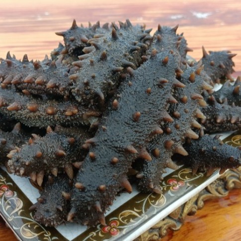 大连海参 半干海参 非养殖 【净含量：2斤/3斤]一斤17至20个