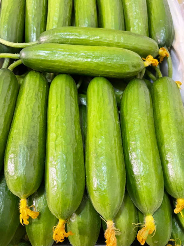 长春现摘水果黄瓜