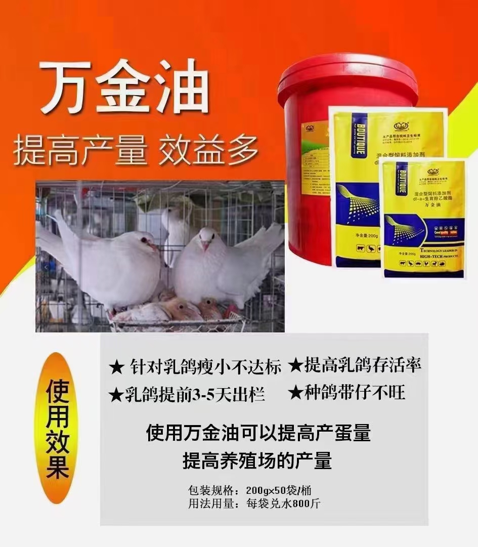 乳鸽不达标减少次品鸽乳鸽增肥增重【5袋装万金油】绿色养殖场有效