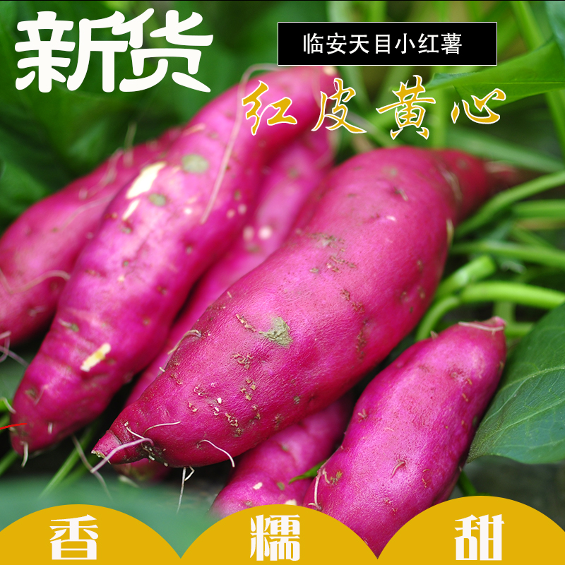 临安天目山小香薯5斤  香糯粉甜小番薯 新鲜现挖小红薯顺丰包邮