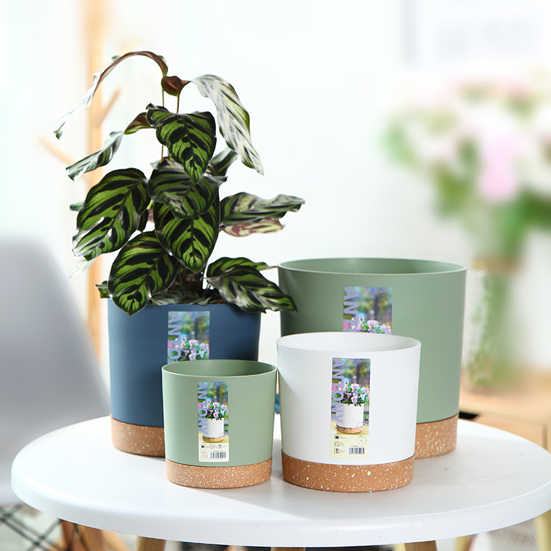 北欧简约轻奢风环保塑料花盆 彩叶竹芋鳟鱼秋海棠虎皮兰专用盆